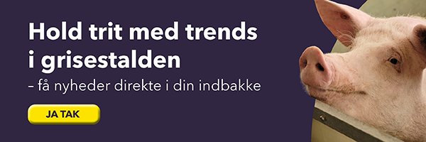 Banner_Gris_Søer