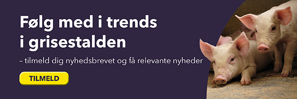 Banner_Gris_Små
