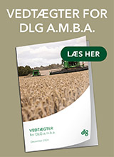 DLG's Vedtægter