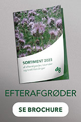 efterafgrøder