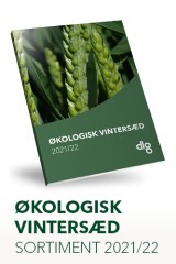 oekologisk vintersaed 2021-2022