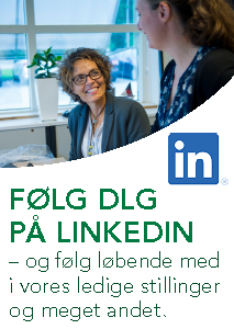 DLG LinkedIn banner