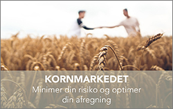 Kornmarkedet knap