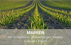 Marken knap