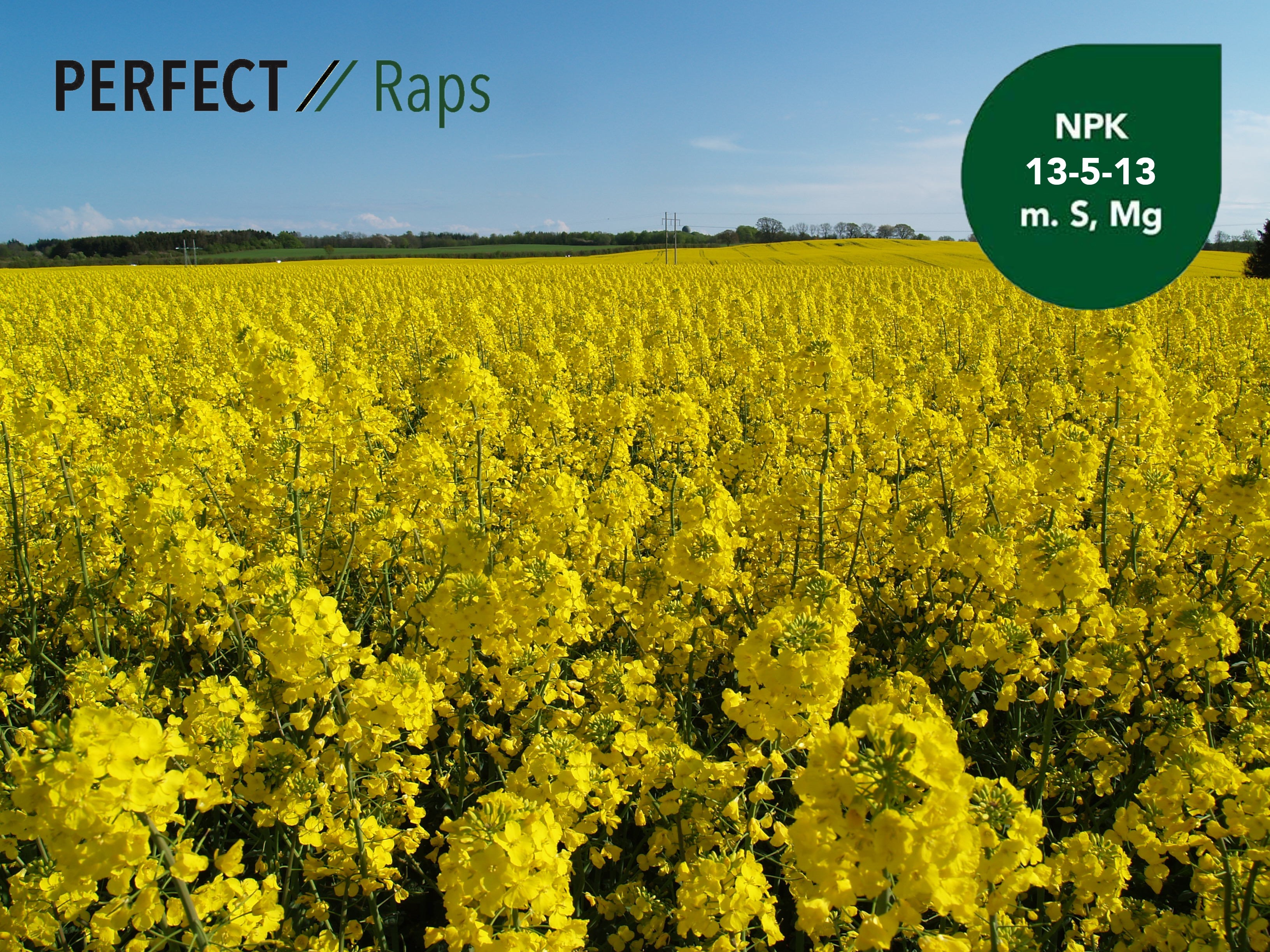 PERFECT Raps - En effektiv gødningsløsning - DLG - Landbrugets ...
