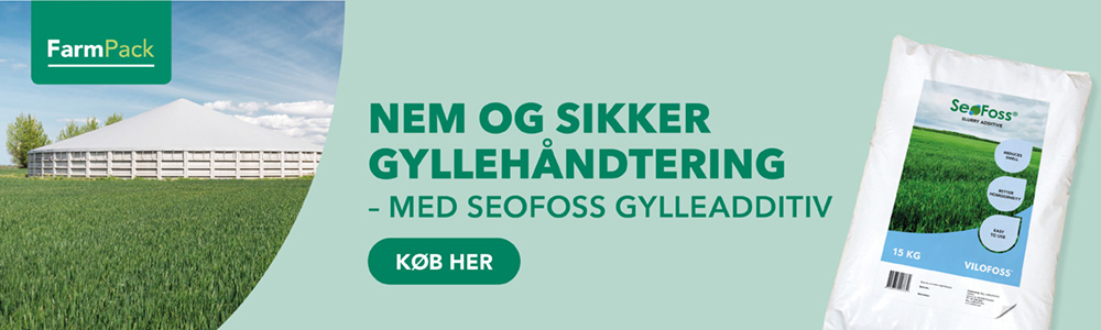 SeoFoss-banner til LP