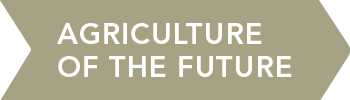 Agriculture of the future