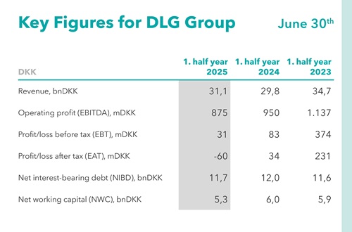 EN_DKK_DLG_Årsrapport_2024_Bannere_Tabel-Nøgletal_Halfårsregnskab
