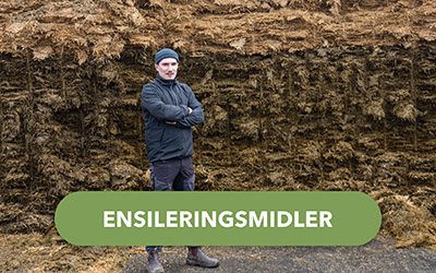 billedknap - ensileringsmidler