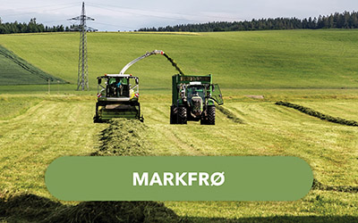 billedknap - markfrø