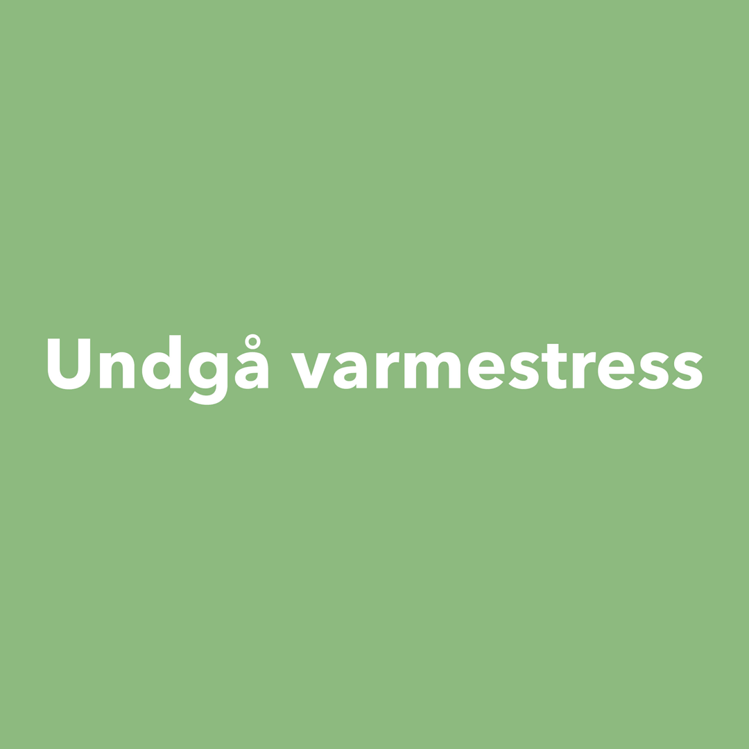 De 6 generelle råd