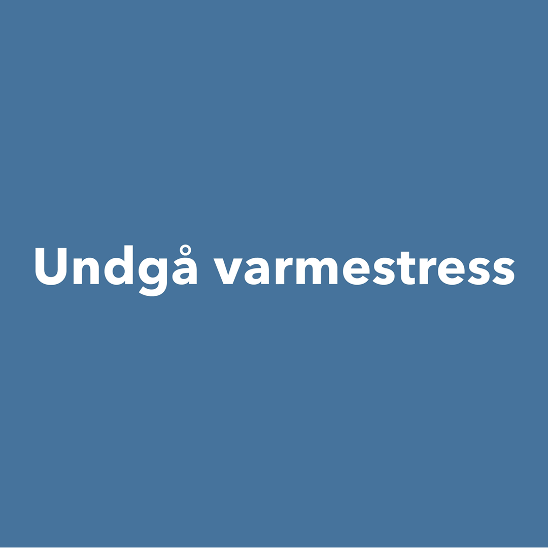 De 6 gode råd ifm foderet