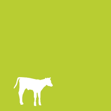 Figur - E-vitamin i blodplasma