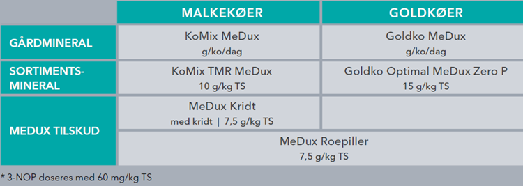 MeDux_aug_2025