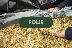 Folie
