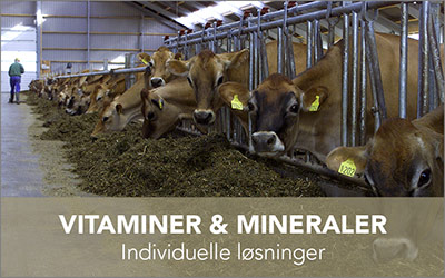 Vitaminer og Mineraler billedebanner