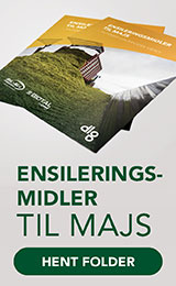 Ensileringsmidler til majs - folder