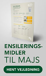 Ensileringsmidler til majs - vejledning