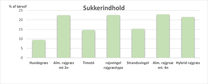 sukkerindhold