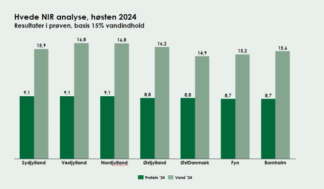 NIR-Analyse Hvede2024