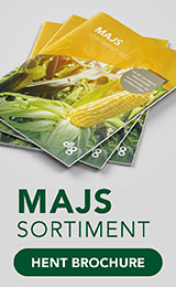 majs sortiment