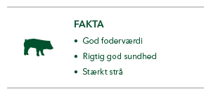 Trias