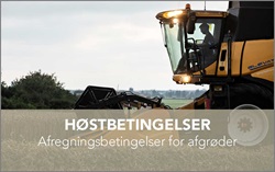 høstbetingelser