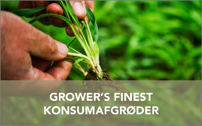 konsumafgroeder Grower's Finest