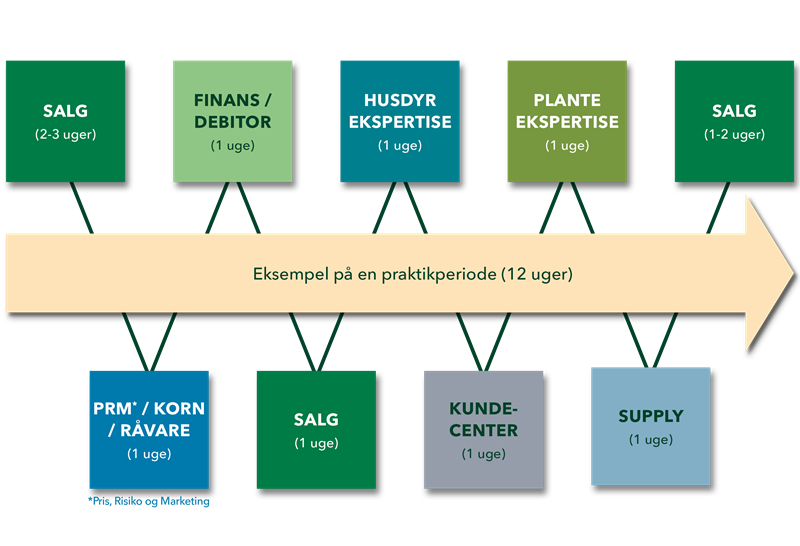 Eksempel på praktikforløb