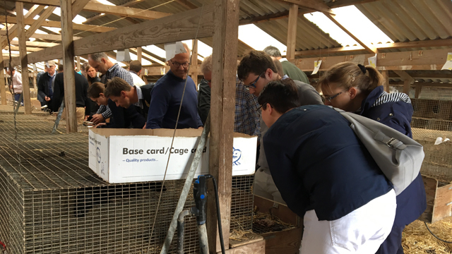 Deltagere ved Intercoop mødet på besøg hos formand for Kopenhagen Fur Tage Pedersen, som fortalte om alle led i værdikæden i minkproduktionen. Mange havde ikke set levende mink før, så det var en stor oplevelse.
