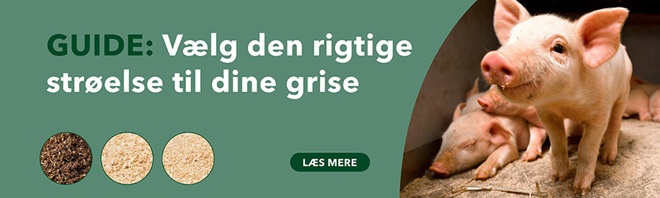 Guide_stroelse