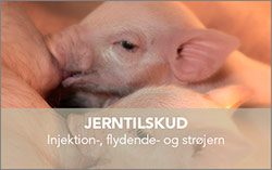 Jerntilskud knap