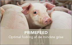 Primefeed knap