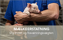 mælkeerstatning knap