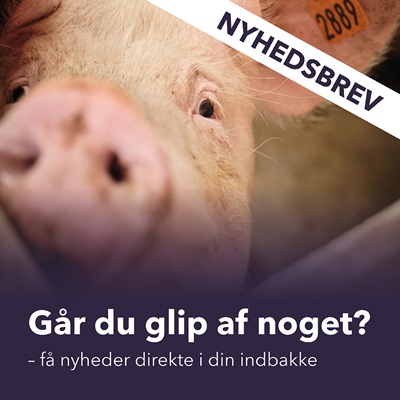 Nyhedsbrev
