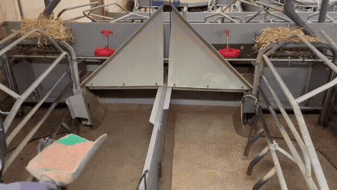 Stroelse_stalosanF_StroePlus_F