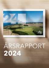 Årsrapport 2024