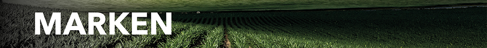 Overskriftbanner - Marken - Reklameavis