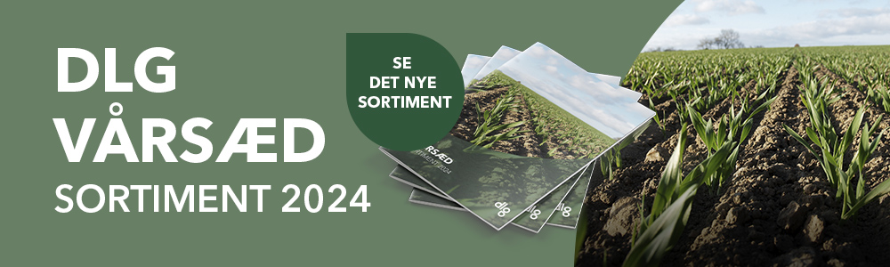 Katalog