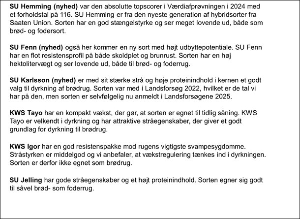Billede 6