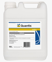 Quantis