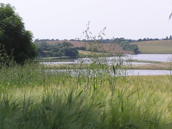 Flyvehavre